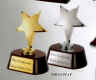 GS524_SS524_gold_silver_casting-star-award.jpg (35472 bytes)