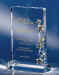 OCS1079_Optical_Crystal_Amber_Star_Award.jpg (22745 bytes)