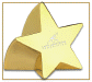 GSPW101_Gold_Star_Paperweight.gif (46330 bytes)