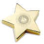 GSPW502_Gold_Star_Paperweight.jpg (26701 bytes)