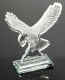 EASG608_Starfire_Glass_Eagle_Award.jpg (36387 bytes)
